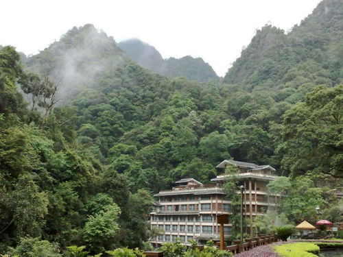 中档饭店的均衡之选