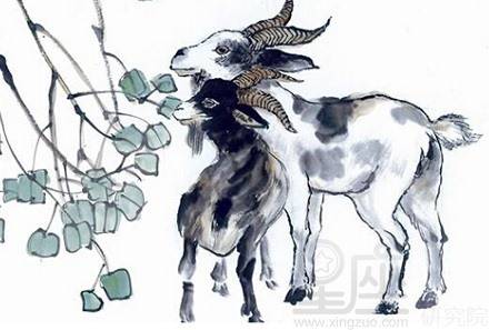 1967年属羊的人2019年运势如何？