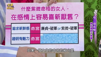 紫微——洞察力兼备之领袖型人格