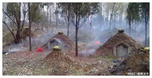 1. 夭折孩子背后隐藏着较深邃生命观