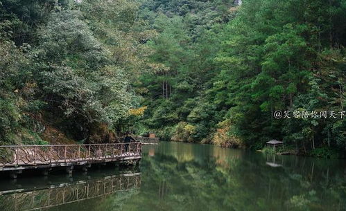 说好的鸳鸯呢？骗子！