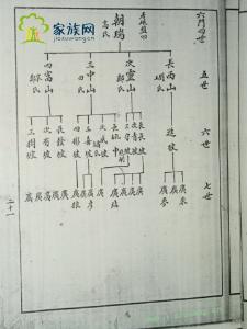 族谱体系与辈分管理机制