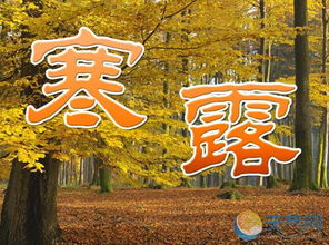 寒露节气的核心含义：天时与人事交融之处