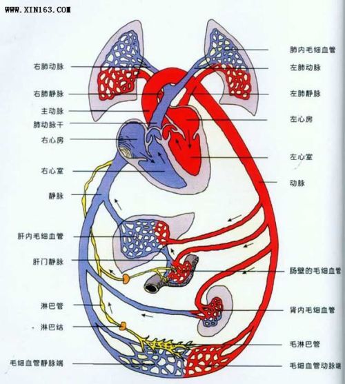 六、 流口水：胃肠功能紊乱下的液体失衡