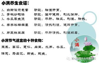 《二十四节气养生法》之大暑：蜜姜茶与朱砂掌