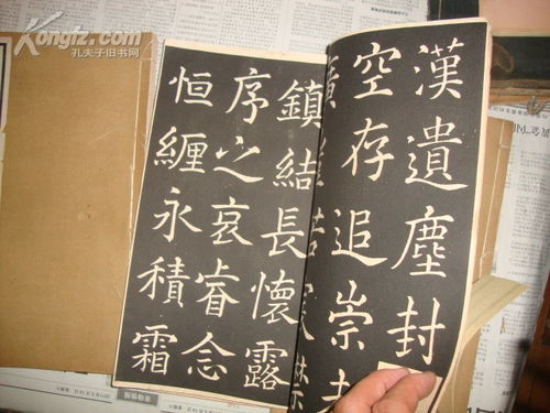 二、  五行命理与行业适配：基于乙巳年的能量平衡术