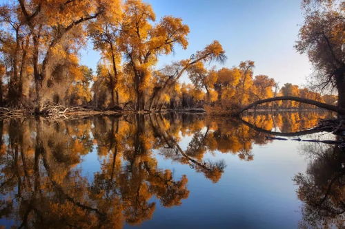 选对时间太重要了！黄历说...