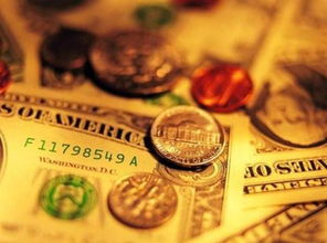 （三）特定饮食之内在调养