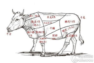 ：探寻倒骑龙风水的独特魅力