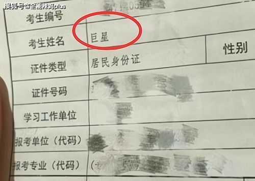 乱入噪音：随便拼凑的一段文字……哔哔哔——这是键盘敲击声。