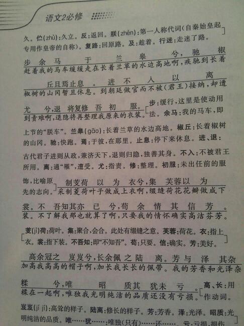 翻译策略与实例解析