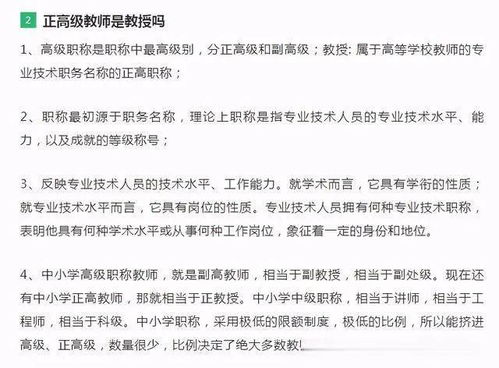 ：姓名验证与直言不讳之性格特征的交叉作用于解析