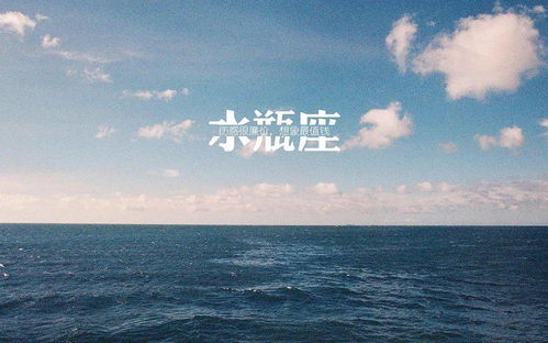 2. 固执得像头驴