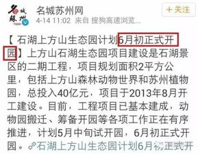 交通噩梦：一场荒野求生