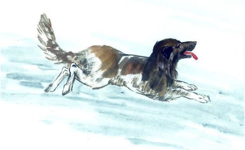 1994年属狗的人2026年会遭遇什么样的桃花劫？