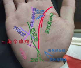 五、 案例分析与实证考察