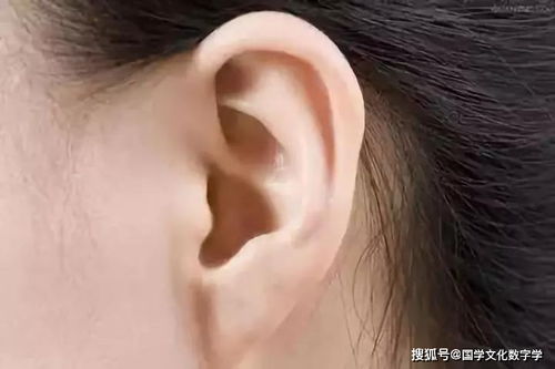 ：面相学视域下耳部形态的隐喻与命运解析