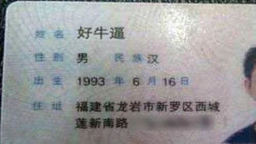 传统与创新：如何在命名中把握平衡？