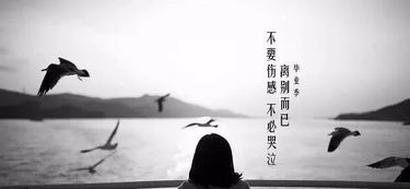 名字的力量：一个被遗忘的故事