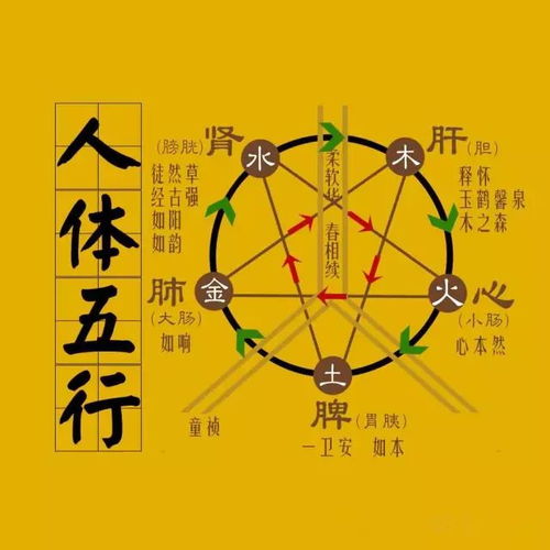如何改写五行流通均衡的八字，使其成为两两抵消后的？