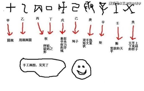 顺格男命究竟有哪些独特特征和显著特点？