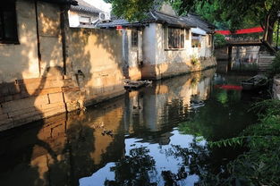 数据揭示的真相