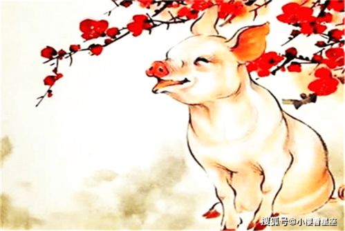 2026年生肖猪桃花运如何，1月事业运势意味着什么？