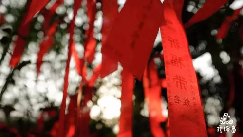 四、 实务操作建议与风险防范