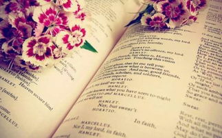 二、 生肖、星座与风水因素在女性昵称构建中的潜在价值