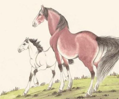 属狗属马属兔婚姻相配吗？87年属兔和90年属马为何被认为是绝配？