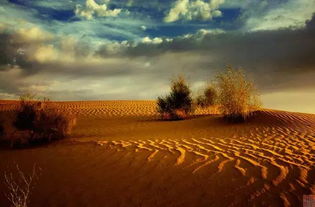 海外黄沙碛中一蛇延愿十里长，这十里长蛇究竟属何生肖？