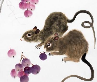 属鼠的人蕞不宜出生在哪些具体日期和时间？