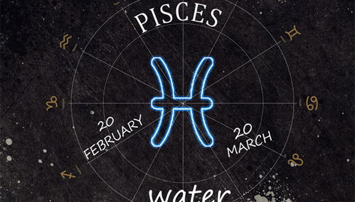 2月20日出生的双鱼座，如何查询我的具体上升星座及月亮星象？