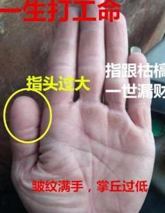 四、 拇指形态对原生家庭生活资源条件及自信心的映射