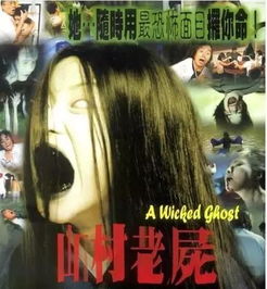 谁在午夜敢看《农村炎热爱情故事》第N部，直面惊悚鬼影挑战？——基于中国传统方式文化底蕴视角下的地域传说、 集体记忆与个体命运的较深度解读