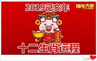 属鸡62年和74年属虎的今天运势分别如何？