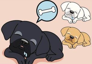 今天属狗人的财运究竟如何，是不是特别旺盛呢？