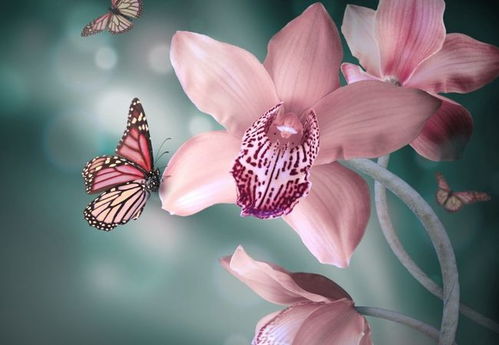 红娘属什么生肖？红娘打一生肖是什么生肖的意思？