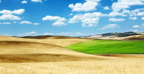 谷子与命运の量子纠缠