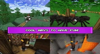 假从格局：复杂性的体现