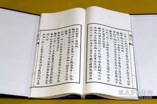 一、 基本概念与术语界定