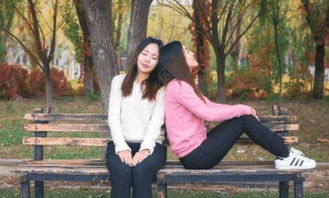 2.1 典型组合示例及其隐喻意义