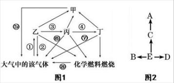 身体反应型表现