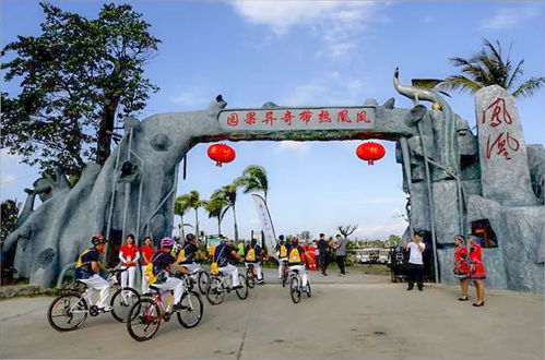 网红打卡点翻车现场