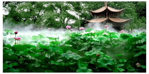 康熙八字解析，能否提供800例八字精批实例详细分析？