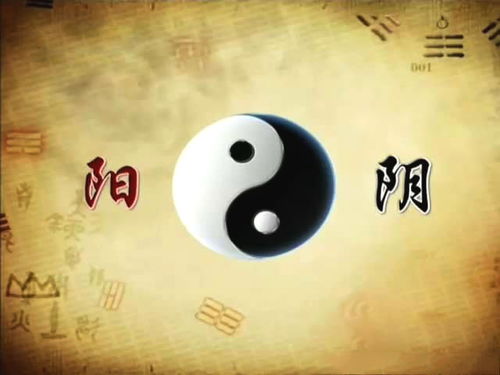 罗易经大师，您能详细解释一下中国易经风水中的罗盘使用方法吗？