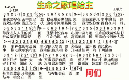 二、四郭固及直符之灾害解析