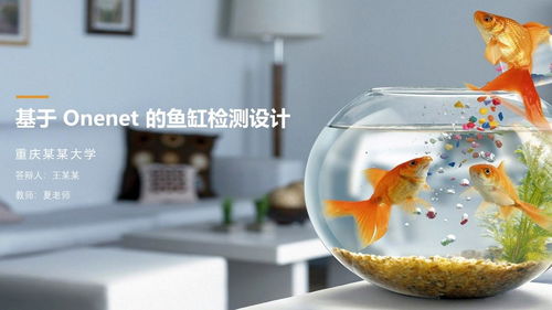 一条——水之本源， 单独招财