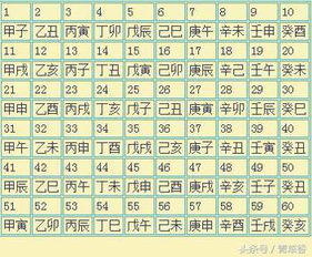 1.1 天干地支的相互作用