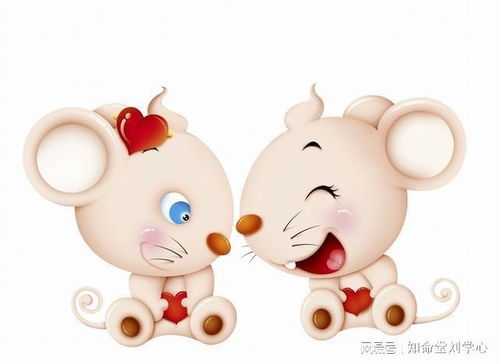 12生肖取名玄学大杂烩！看完笑到打鸣